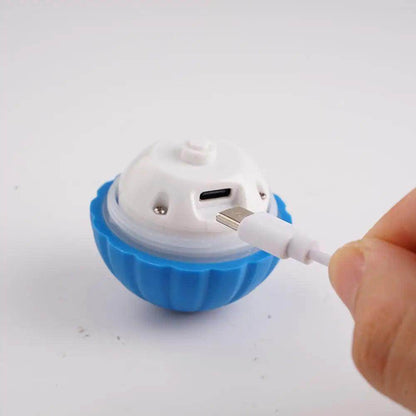 Interactive Toy Ball - Chills Pet Pals