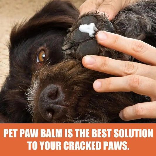 Natural Dog Paw Balm - Chills Pet Pals