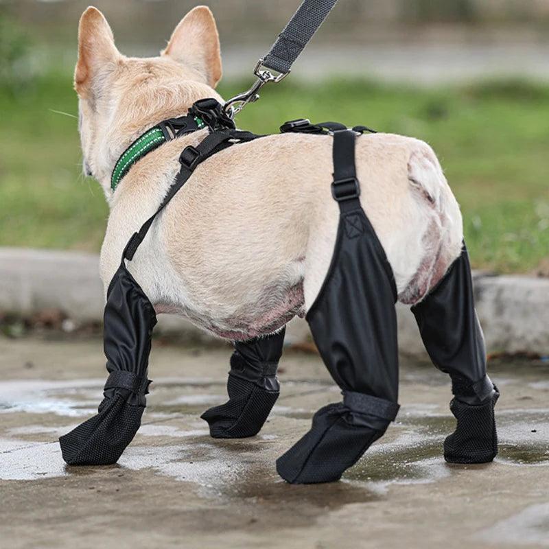 Suspender Boots for Dogs - Chills Pet Pals
