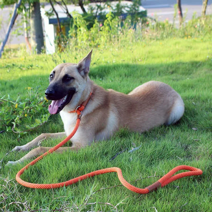 Slip rope lead leash