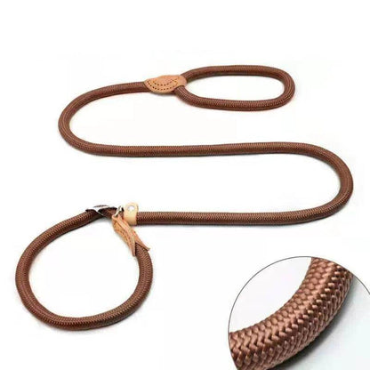 Dog Slip Rope Leash - Chills Pet Pals