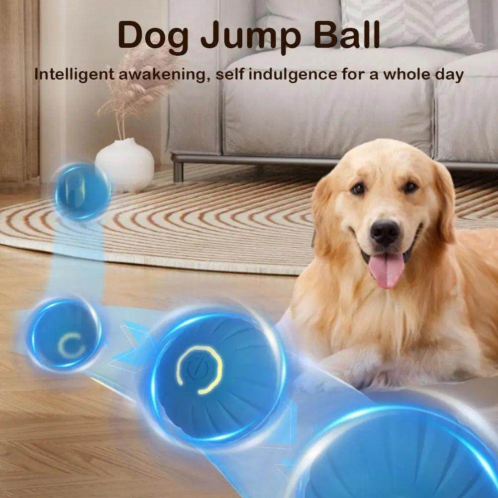 Interactive Toy Ball - Chills Pet Pals