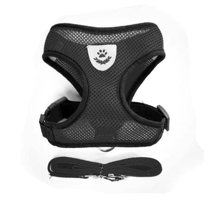 Cat Harness plus Leash - Chills Pet Pals