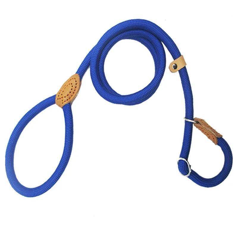 Dog Slip Rope Leash - Chills Pet Pals