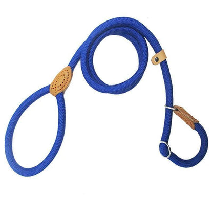 Dog Slip Rope Leash - Chills Pet Pals