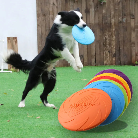 A dog catching a blue flying disc with more discs in orange and purple lying on the ground.