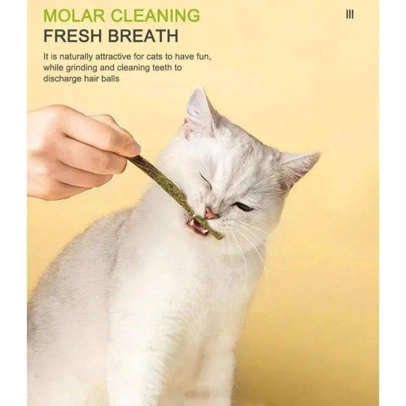 Mint sticks for cats - Chills Pet Pals