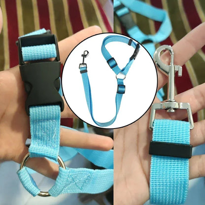 Blue dog leash with black buckle held by a person, with close-up details on a striped background.