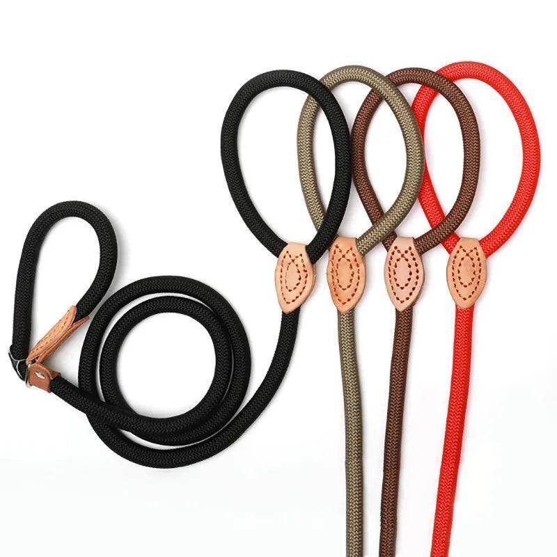 Dog Slip Rope Leash - Chills Pet Pals