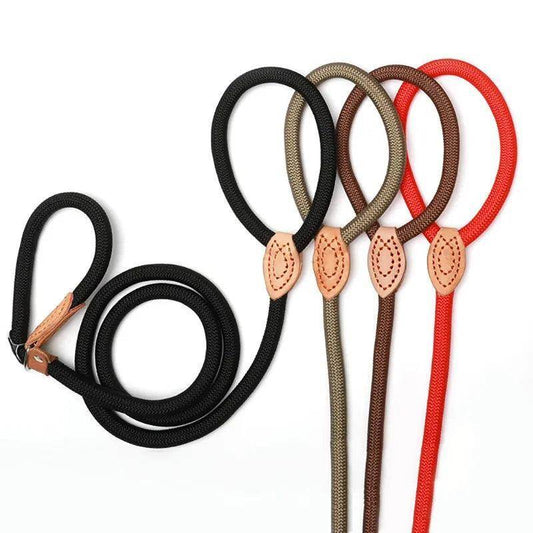 Dog Slip Rope Leash - Chills Pet Pals