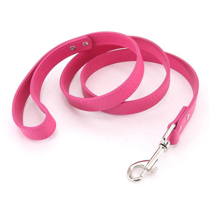 Leather Dog Leash - Chills Pet Pals