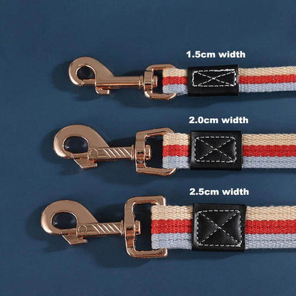 Nylon Dog Leash - Chills Pet Pals