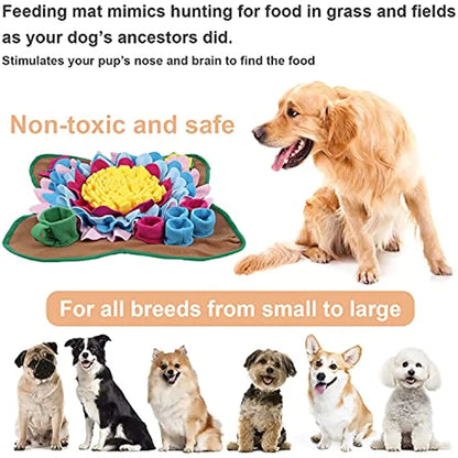 Dog toy mat with colorful flowers and a dog, surrounded by images of various dogs.