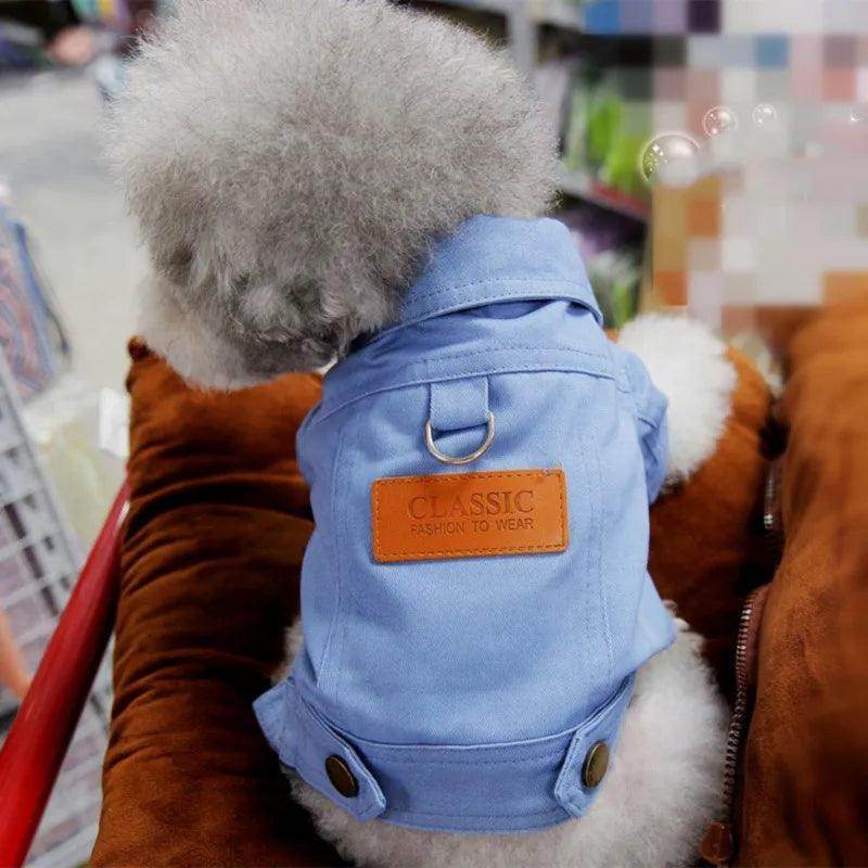 Spring Demin Jacket - Chills Pet Pals